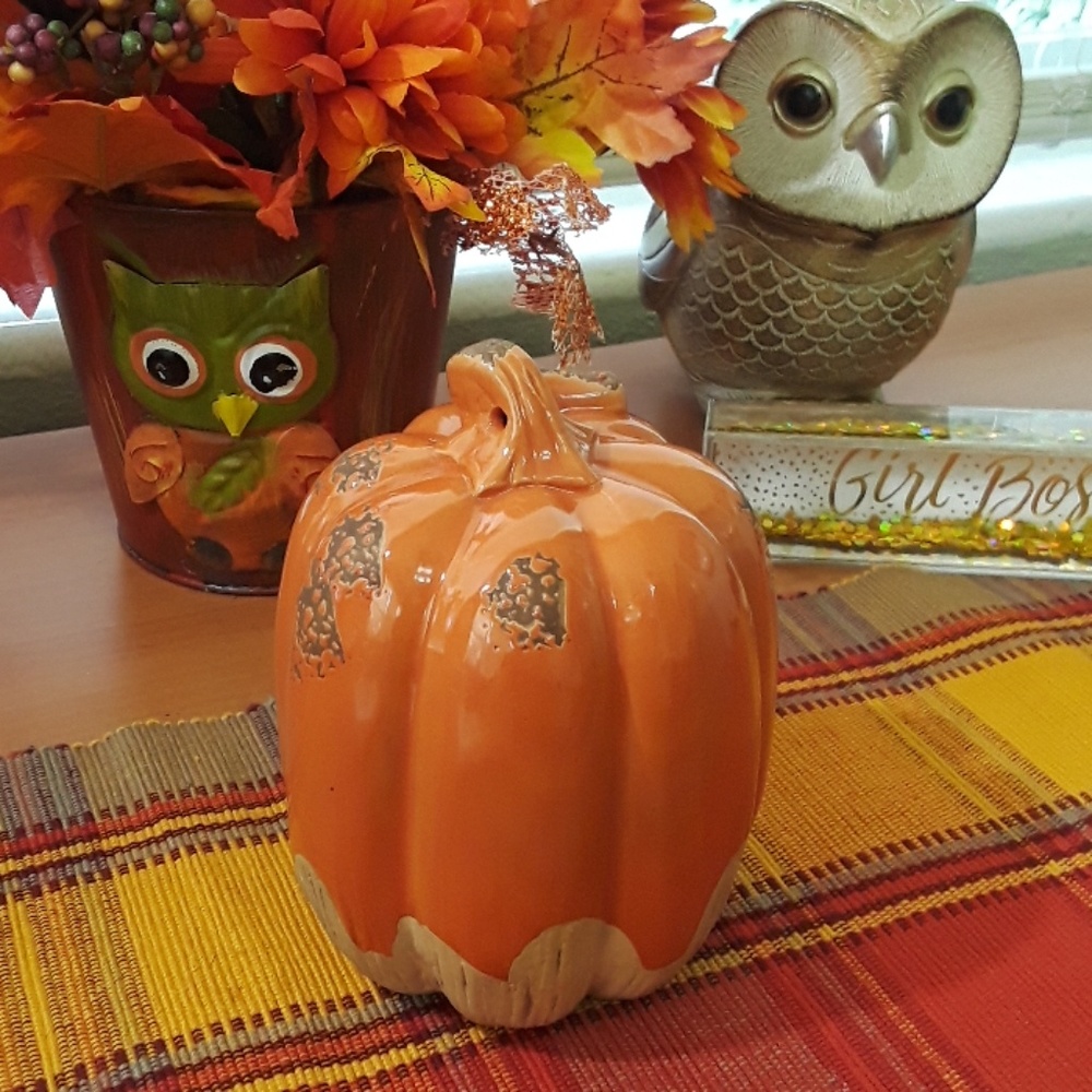 Farmhouse fall decor ceramic pumpkin! Rustic